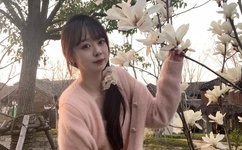 南宝衣萧弈小说全文在线阅读